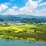 奔跑吧阿甘