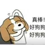 来一杯椰椰芒芒