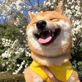 许同学呀🌈