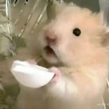 银河冒菜