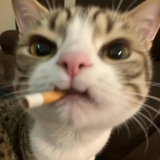 ～