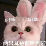彩云追月得知己