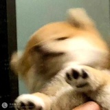 东木烧啊