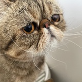 加藤