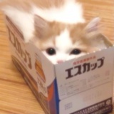 本初线