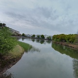 余生旅居养老