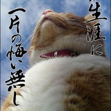 柒叁叁叁