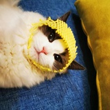 圈圈