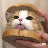 momojiojio