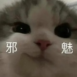 嘿嘿