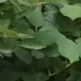 豆友phwAp0iSr8
