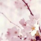无公害控姐