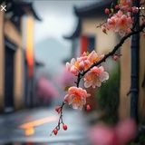 正午阳光