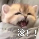 破罐子乱摔