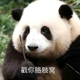舞悦清影