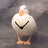 咕咕噜噜噜