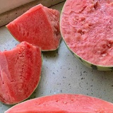 豆友270593059