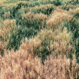 豆友K5MxPta2TI