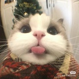 豆友HxFwWxAavI