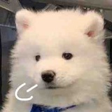 叹气耶耶