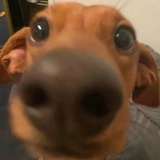 风的四季里常青