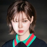 一株包菜
