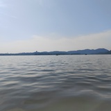 小林