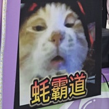 糖拌西红柿