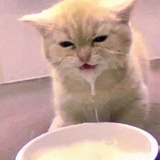 火