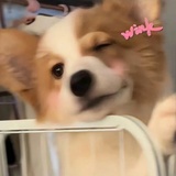 duooo