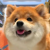 丸子