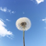 能言善道