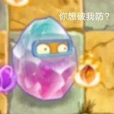 .！不活了