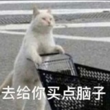 咸mo咸mo