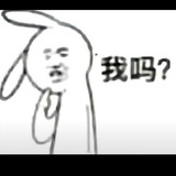 海淘豆豆