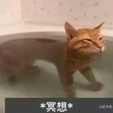 甲钴胺