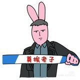 你是猪头吗
