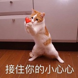 我该是什么东西