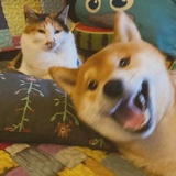 盐粒
