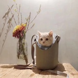发发