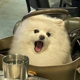 豆友7572311169