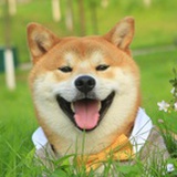 小七萌~