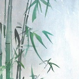 羌笛何须怨杨柳