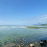 社会小透明