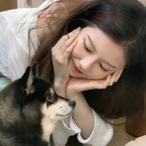 失眠数羊