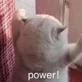 fg