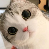 黑妹不黑哦
