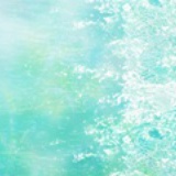 书@com