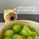 来一颗葡萄吗