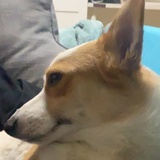 豆友DcemYd4gkE